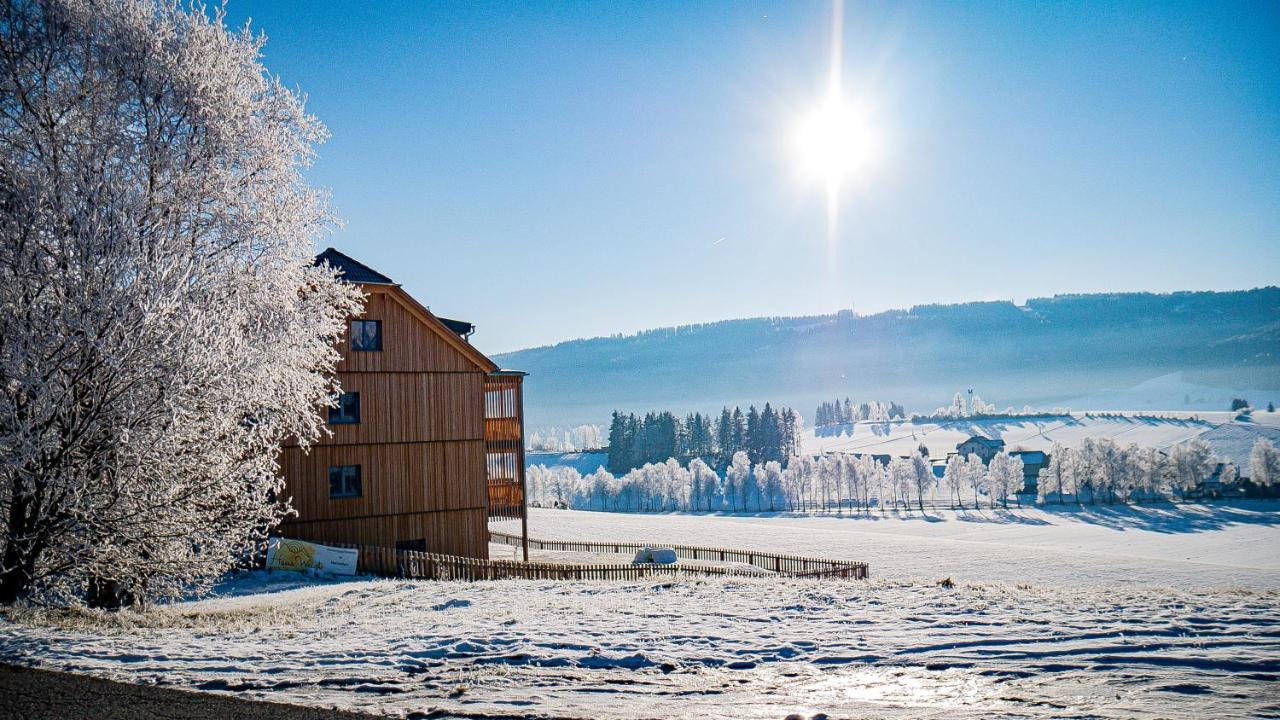 Haus Weigt Daire Mariapfarr Dış mekan fotoğraf